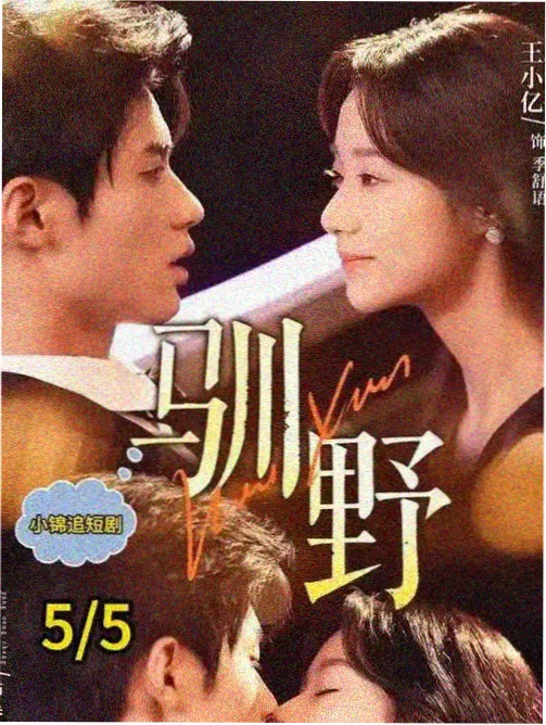 白鹭计划剧集封面